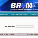 brim