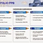 PorfolioPPB