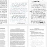 essay