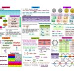 5B15DNota-Padat-Matematik-Tahun-6-UPSR
