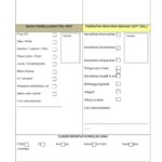 Format-Rph-Pdpc-Abad-Ke-2128129_1