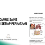 kamussains
