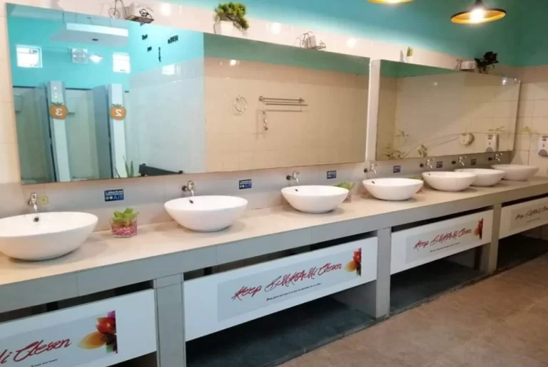 Bangunkan Silibus Penjagaan Tandas Secara Khusus di Sekolah – Ahli Akademik